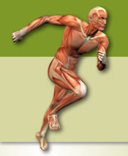 Logo van Sportmassage Deventer